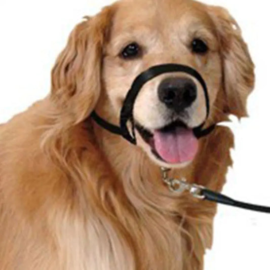 Adjustable No-Pull Dog Harness with Leader Belt