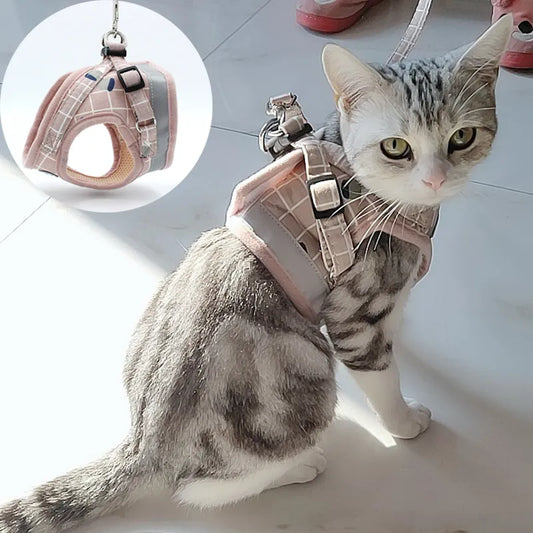 Plaid Mesh Cat Harness Set