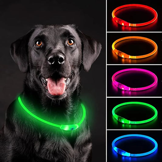 USB Rechargeable LED Pet Collar