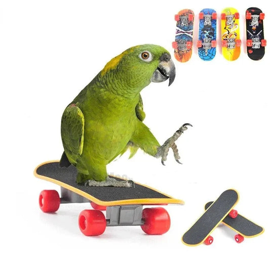 Mini skateboard bird toy for training