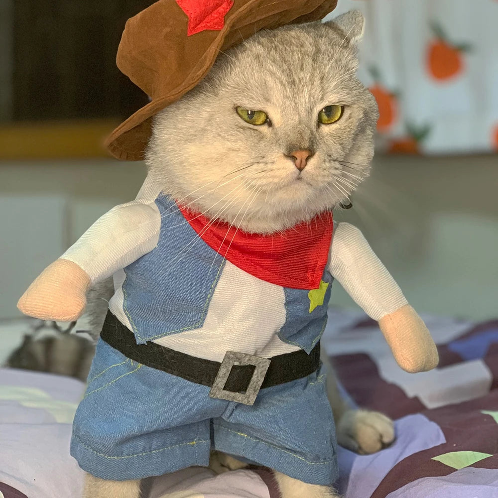 Cowboy Costume: Pet Halloween Dress-Up