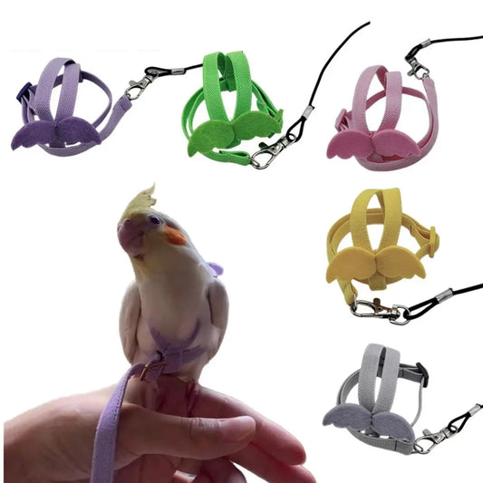Adjustable Ultra-Light Parrot Harness: Comfortable Handle. bird