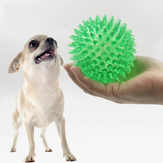 Squeaky Dog Ball Toy Interactive