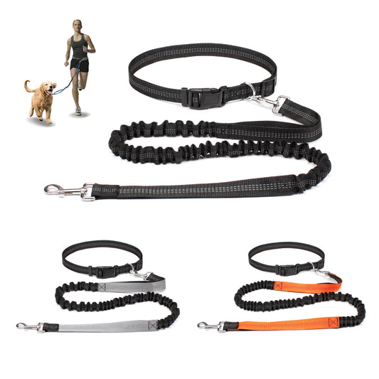 Adjustable Hands-Free Dog Leash: Waist Belt with Chest Strap