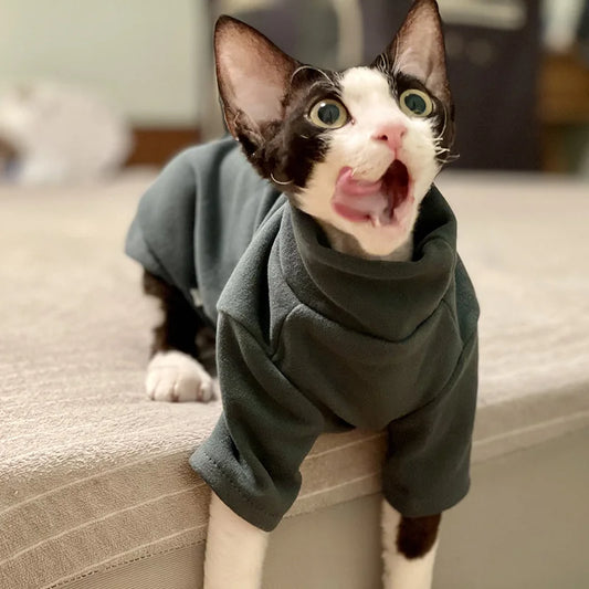 Soft cotton attire: Sphynx cat's cozy companion