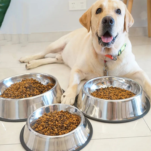 Stainless Steel Pet Bowls: Various Sizes for Dogs and Cats