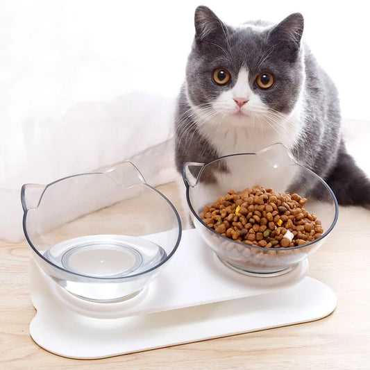 Inclined Double Pet Bowl Stand