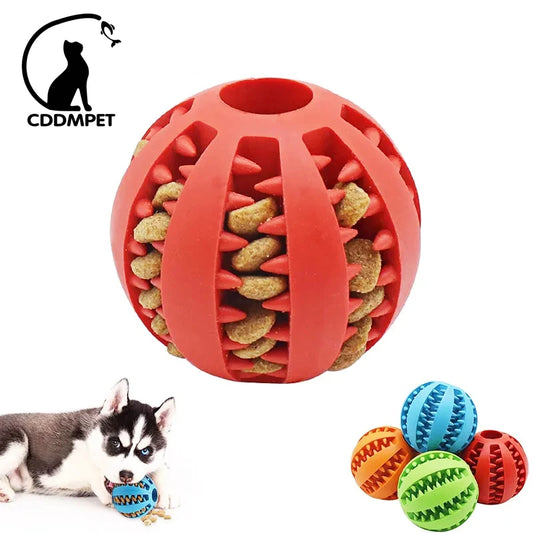 Small Dog Chew Ball Toy