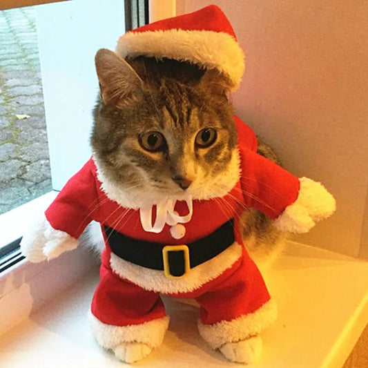 Santa Claus Cat Costume