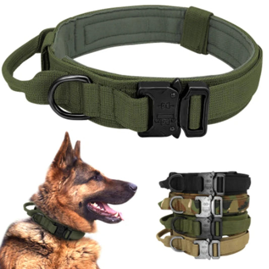 Tactical Dog Collar: Military Style for Medium to Large Dogs