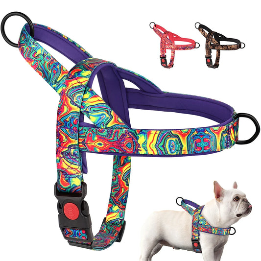 Safety Dog Harness: Nylon, Padded, Adjustable