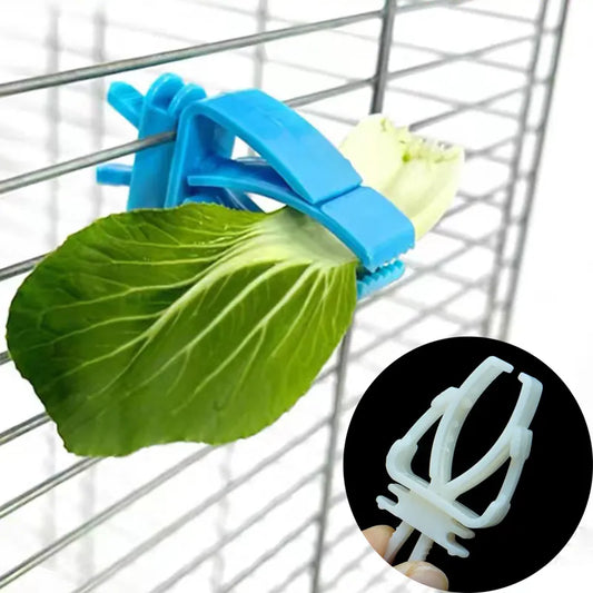 Small Pet Bird Food Holder: Parrot Cage Accessories