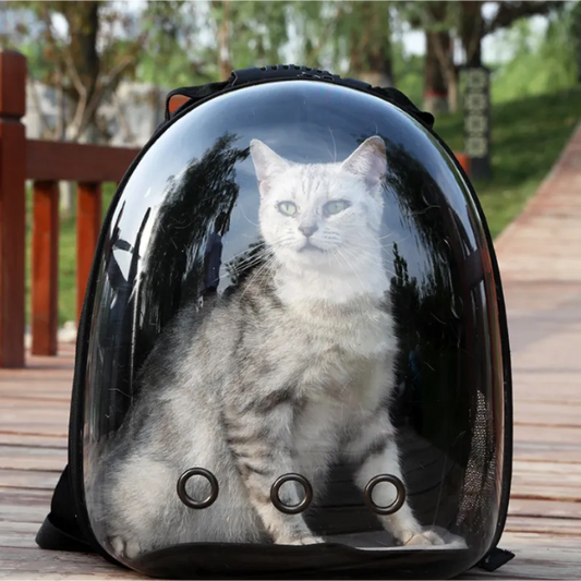Manufacturer supplies cat backpacks, transparent space capsules, breathable bags.