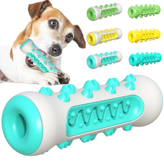 Molar Toothbrush Chew Toy for Dogs