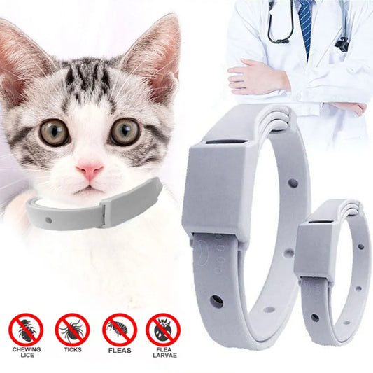 Breakaway Anti-Flea Tick Collar for Cats and Small Dogs