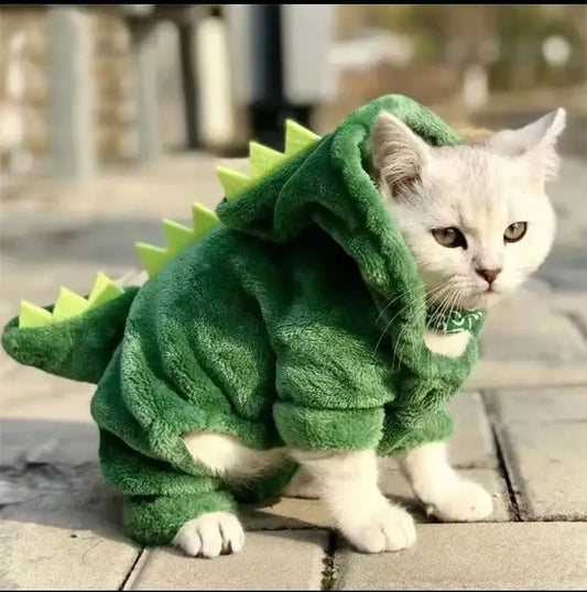 Funny Dinosaur Cosplay Costume for Small Dogs