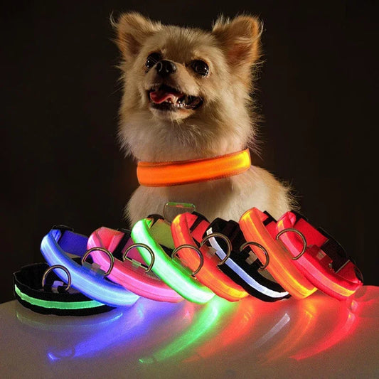 USB LED Dog Collar: Safety Night Light for Pets