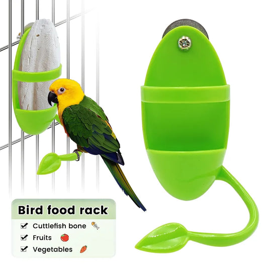 Plastic parrot feeder with perching frame