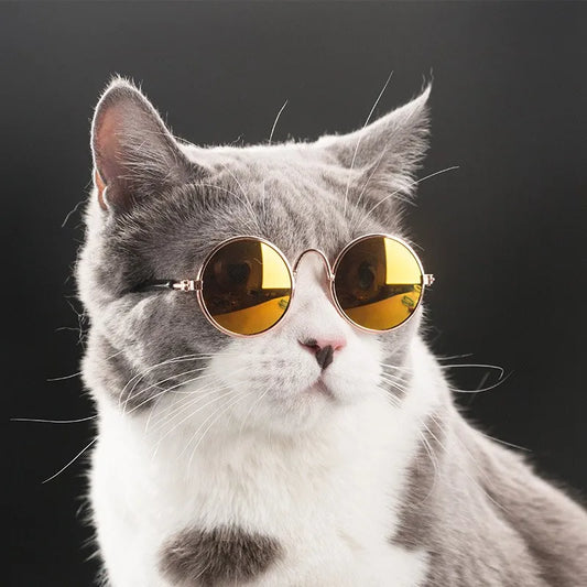 Vintage Round Pet Sunglasses for Small Dogs and Cats
