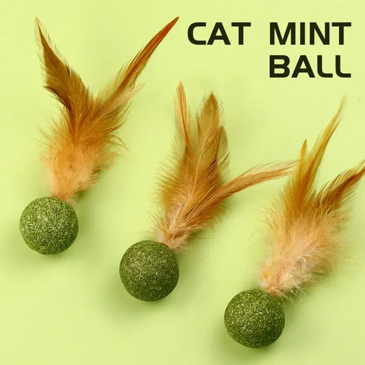 Edible Catnip Ball Cat Toy