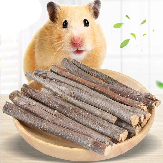 Apple Tree Stick: Hamster Teeth Grinding